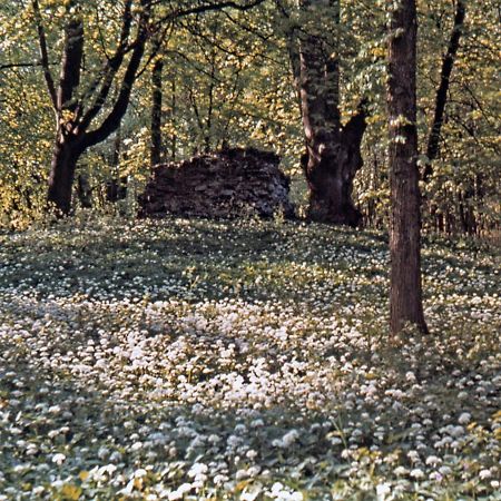 Kvarnvillan Lummelundsbruk Висбю Экстерьер фото
